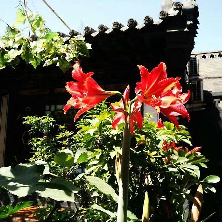 Pingyao Tian Yi Hostel المظهر الخارجي الصورة